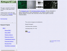 Tablet Screenshot of hamaguchilab.cshl.edu